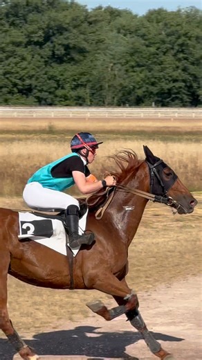 Fiers de nos stars ⭐️ #courseshippiques #afasec #cheval #ecoleafasec #equestrianlife #horseoftheday #horsepower #ecole #maf2025 | Afasec
