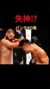 拳１つで成り上がれ！パンチKO集