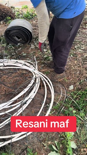 Resani maf #creatorsearchinsights #portugal🇵🇹 #flypシ #tiktokjapan #foryoupage❤️❤️ #agriculture #reetudd #tiktokuk #justforfun @Reetu Kecy 🇵🇹🇳🇵