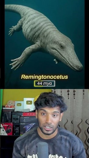 50 Million Years of Evolution in 40 Seconds