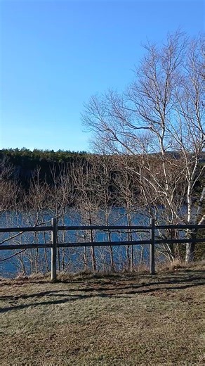 Cadillac Mountain View Otter Cove Atlantic Ocean DEC 18 2025 Ari & Acadia Woody Winter Loop Tours!