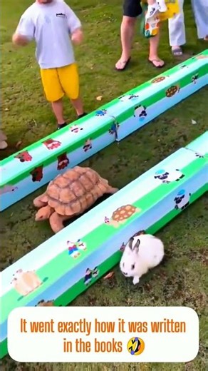 The Tortoise vs. Hare - Who Wins? 🐢🐇 #racing