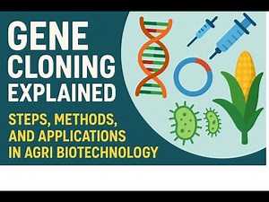 NCBI CDD Domain & MEME Motif Analysis | TBtools Phylogenetic Visualization Tutorial