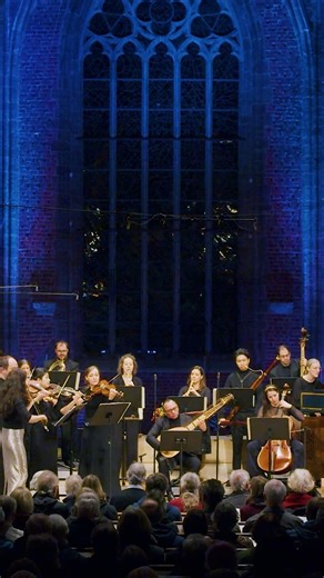 A moment of rest with Telemann. ❤️🎵 #telemann #concert #baroque