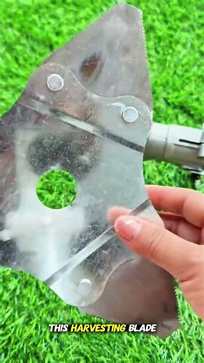 Heavy Duty Harvest Brush Cutter Blade #shorts #youtubeshorts