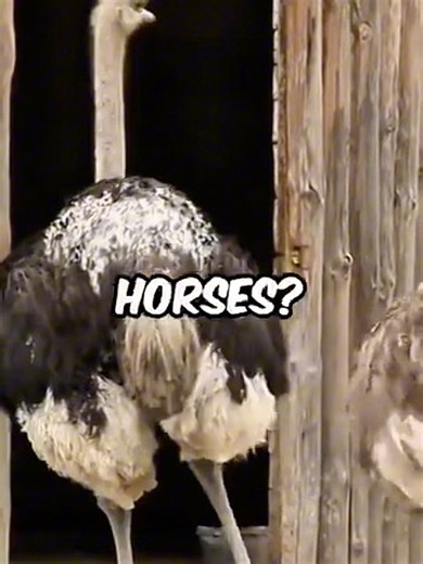 Random facts you never knew🤯😳 #randomfacts #amazingfacts #funnyvideos | Rare Viral Facts