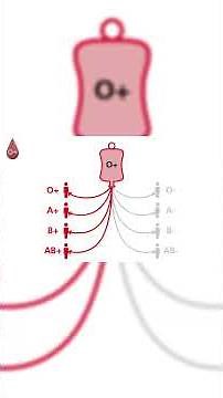 actually explained: Every Hidden Advantage of Your Blood Type Explained