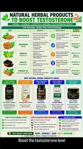 Understand Testosteron and How to boost Testosterone level