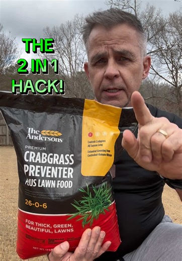 The Andersons Premium Crabgrass Preventer Plus Fertilizer 26-0-6 with Dimension. About the product Description * Application 1 of The Andersons Lawn Program * This is a pre-emergent and should be applied in the spring prior to weed germination * A fall application can also be made if additional control is needed * The active ingredient Dimension will provide up to 4 months of protection against 24 grass and broadleaf weeds * Includes lawn fertilizer with both quick- and slow-release nitrogen for