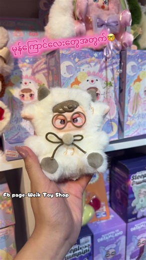 Weik Toy Shop - မုန်ကြောင်လေးများအတွက် Blind Box