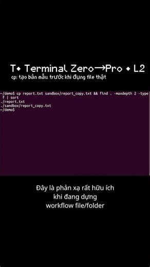 T• cp: nhân 1 file mẫu sang chỗ khác trước khi đụng file thật | L2 (Terminal Zero→Pro) #ubuntu