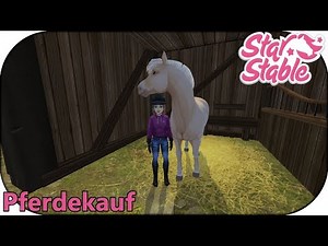 Star Stable Online [SSO] : Fjordpferd [Pferdekauf]