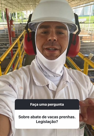 Impactos da Prenhez no Abate de Vacas: Evite Prejuízos