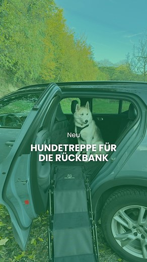 Die neue Fellbengel Hundetreppe für die Rückbank ist da! ✨ Gängige Hundetreppen sind bei den meisten Autos zu breit für die Nutzung an der Rückbank. Wir haben auf eure Wünsche gehört und lange an einer Variante für den Ein- und Ausstieg auf den Rücksitz getüftelt. Jetzt ist sie da - Deutschlands einzige Hundetreppe, die speziell für die Rückbank konzipiert ist! ⚠️ Limitierte Stückzahl | Fellbengel
