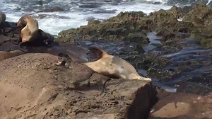 33K views · 2K reactions | Today, give a stranger one of your smiles. It might be the only sunshine they see all day. | The Beach Is My Happy Place | Facebook