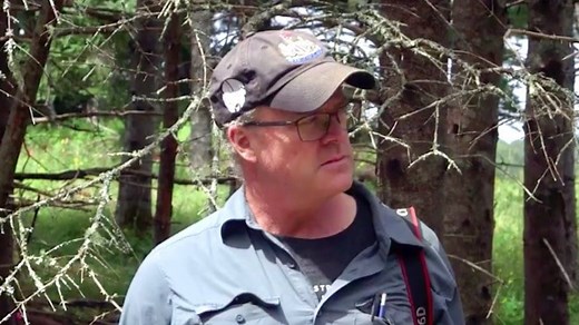 The Curse of Oak Island: Has the show sidelined archaeologist Laird Niven?