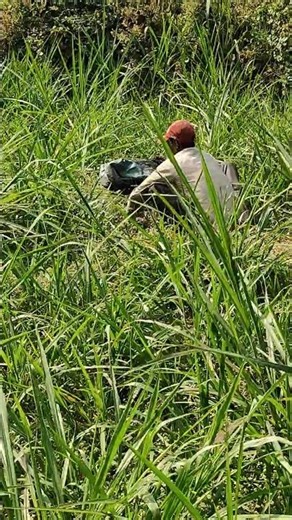 Kamptee Ke Kisano Ki Zindagi | Ground Reality of Farmers