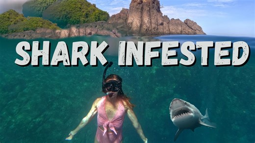 Exploring the Mystery: Diving Into the Unknown