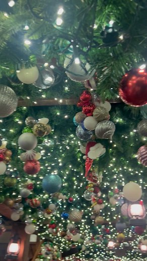 The holidays are in full swing! If you’ve never seen the holiday decor at Angus Barn, make your reservations now. It’s a beautiful site to see how much work they put into their winter wonderland. Of course the food never disappoints! #raleighnc #raleighsteakhouse #angusbarn #holidayseason | Essense Heel