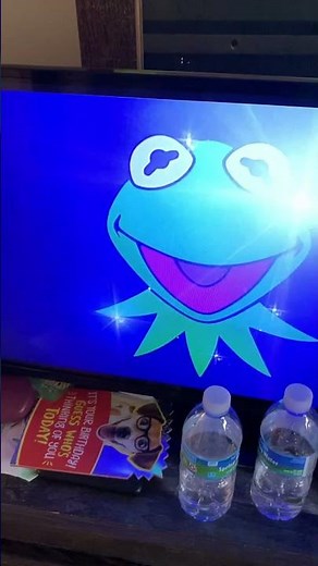 Distributed By Buena Vista Pictures Distribution/Jim Henson Productions/Walt Disney Pictures (1996)