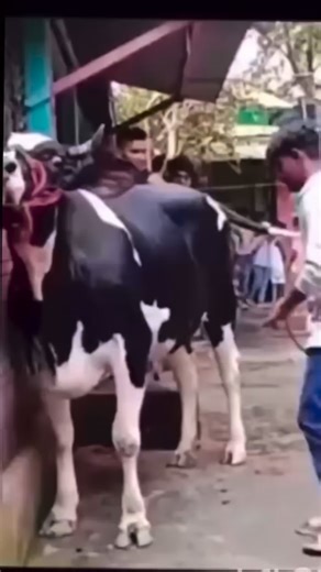 Kalpesh Parmar on Instagram: "Cheapest Desktop Computer FULL SETUP ₹5000 💥 Second hand Computer 🖥️ 1Month testing warranty 🚨 WORLD COMPUTER 1st Floor, Kurla Station road, opp. Bata showroom entrance, Kurla west, Mumbai 400070 ❌*FRIDAY CLOSE*❌ WORLD COMPUTER Jasmine Apartment, near Kailash Lassi, opp. Kala Kendra, Dadar East, Dadar, Mumbai 400014 ❌*MONDAY CLOSE*❌ *Timing 11 AM TO 7 PM* Call 09082807998 Call 09969284912 🚨All Laptop Second Hand🚨 🚨1 Month Warranty 🚨 #worldcomputer2 #laptop #m