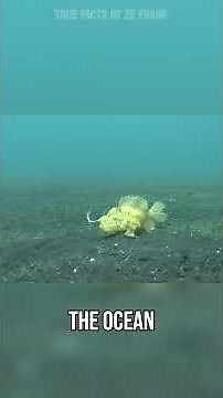 Mom's gonna be so pissed...