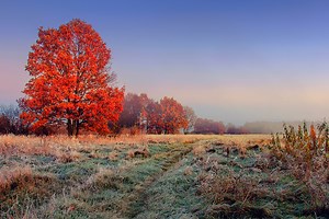 An Insider's Guide to November Events in the Hudson Valley