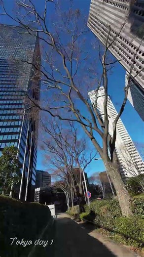 My first day exploring after moving to Tokyo #tokyo #japan #japantravel #東京市 #walking