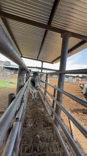 2K views · 2.8K reactions | You know things are getting real when the...