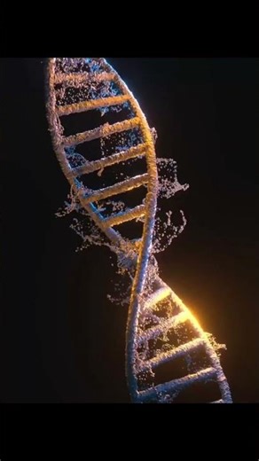 viedo achi lagi ho too like& suscribe @facts.world-pbx1