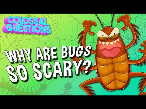 Why Are Bugs So Scary? | COLOSSAL QUESTIONS