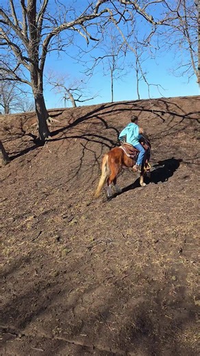 rodeodad580 (@rodeodad580)’s videos with That's Why God Loves Cowboys - Aaron Watson