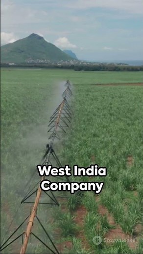 A Glimpse into the History of US Virgin Islands