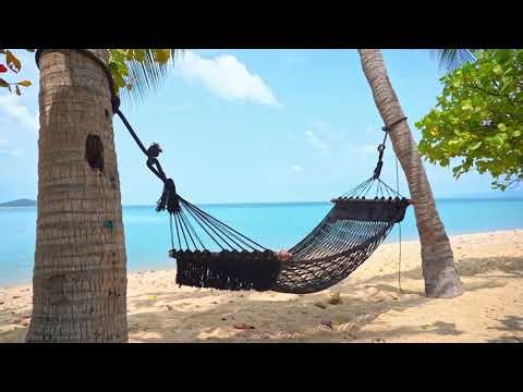 Old School Dub Reggae Instrumentals 🎛️ Retro Analog Chill | Full Album#dubreggae#dubmusic#reggaedub