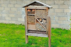 Les inconvénients des hôtels à insectes