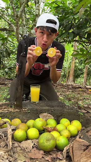 Cómo hacer jugo de naranja fácil y casero