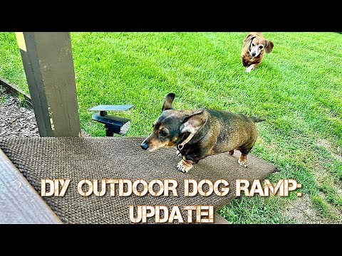 Update! DIY Outdoor Dog Ramp : Simple Build : Dachshund Ramp : Ramp over Stairs : Removable