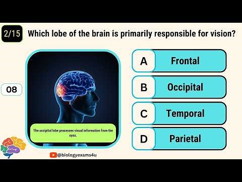 The Human Brain Quiz || MCQ Interactive Quiz on Brain-Human Physiology Quiz- Brain