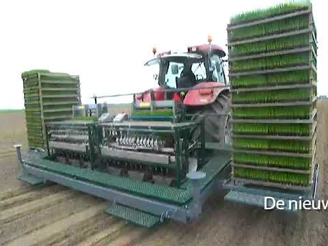 High speed planting - 30,000 plants per hour