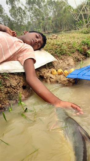 Unbelievable Big Fish Catching slapping#fishing #shorts