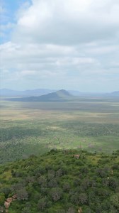 Voi is where it all began. It is home to our original orphan rehabilitation unit, which has stood tall since 1954. It was here that David and Daphne Sheldrick raised their first orphaned elephants. 75 years later, the Voi herd is still going strong. Times have changed, but our mission remains the same: to rescue Kenya’s orphaned elephants, nurture them for as long as they need us, and ultimately help them reclaim their place in the wild. — Learn more about our pioneering Orphans’ Project, which 