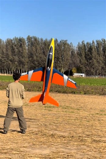 Exploring Jet RC Aircraft Models for Enthusiasts