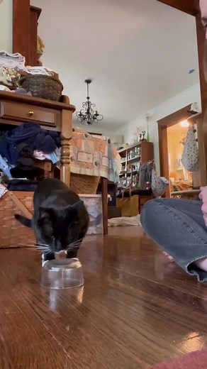 9.3K views · 137 reactions | Part 2 of Target Training Scout for...