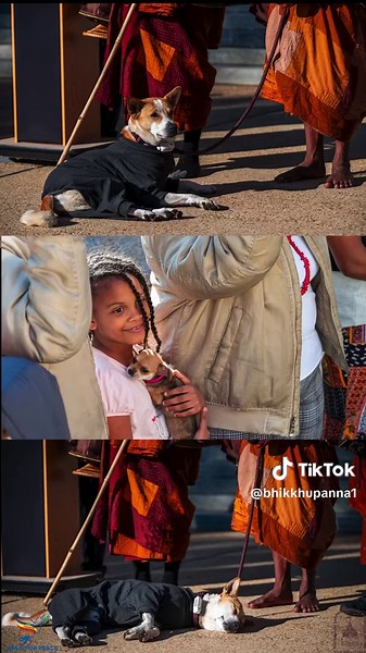 A look back at these wonderful moments. #WalkForPeace #WalkForPeacePurpose #Aloka