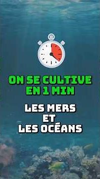Learn something new in 1 minute: Sea vs. ocean