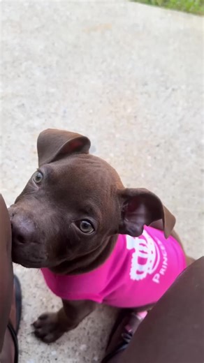 #stitch with @Lau Ren everything happened overnight lol she just blew up