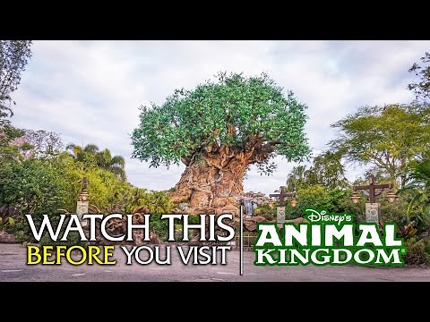 Rating Every Exhibit at Disney's Animal Kingdom