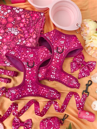 Adjustable Dog Harness for Extra Small Puppies to Large Dogs | Comfortable, Stylish, Pink, Girl, Floral | Notting Hill Raspberry by Wyld Cub - Etsy