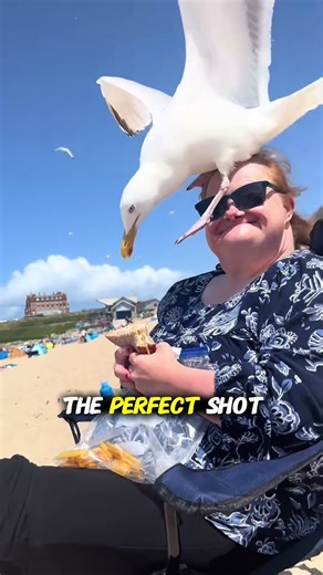 Seagull Heist at the Beach! 😂🥖 #shorts