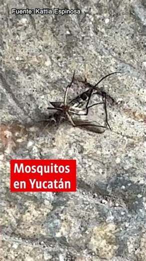 Noticias de hoy 12 de junio de 2026, en un minuto, hasta las 19:00 horas